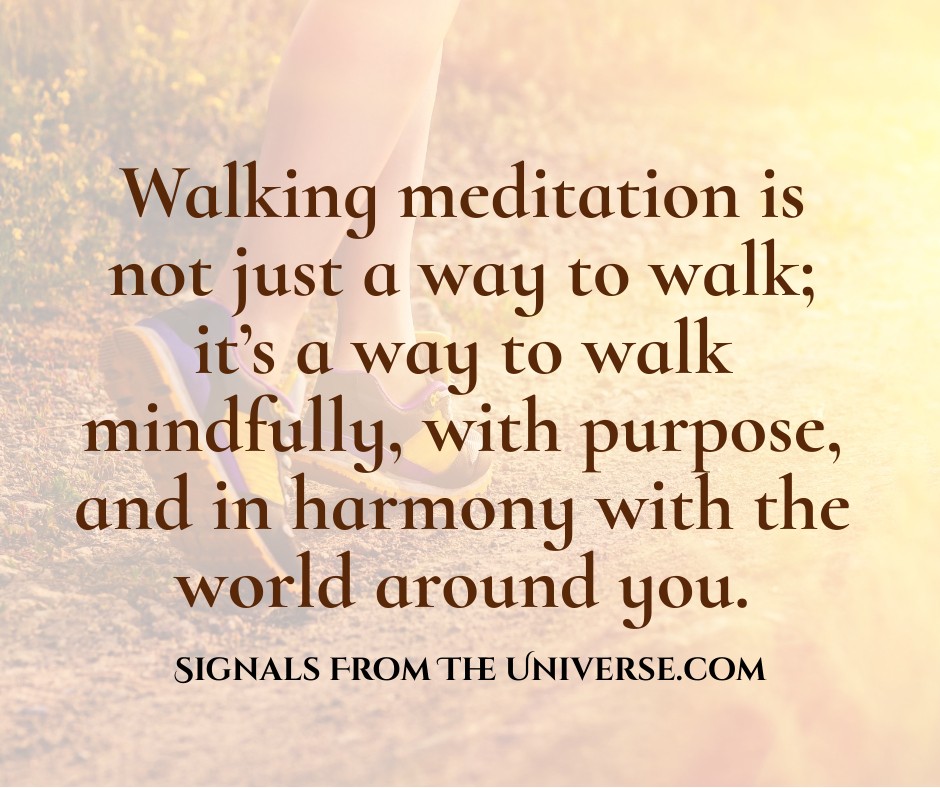 Walking Meditation Meme